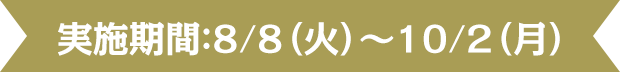 実施期間：