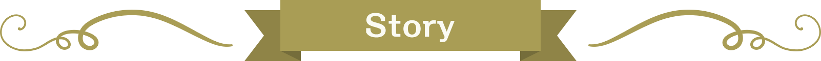 Story